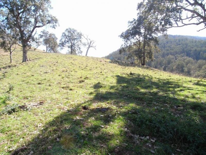 Cooplacurripa NSW 2424