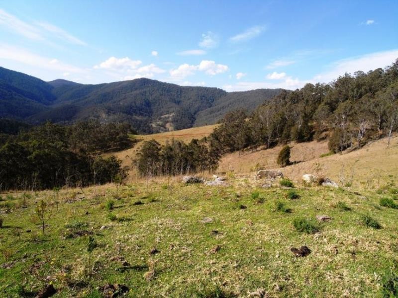 Cooplacurripa NSW 2424