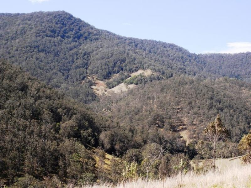 Cooplacurripa NSW 2424