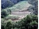 Killabakh NSW 2429