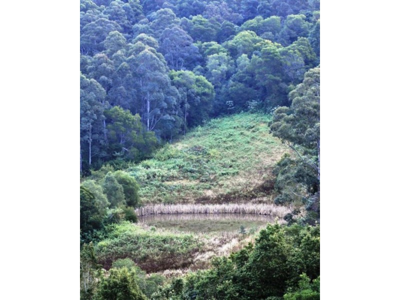 Killabakh NSW 2429
