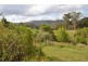 Kimbriki NSW 2429