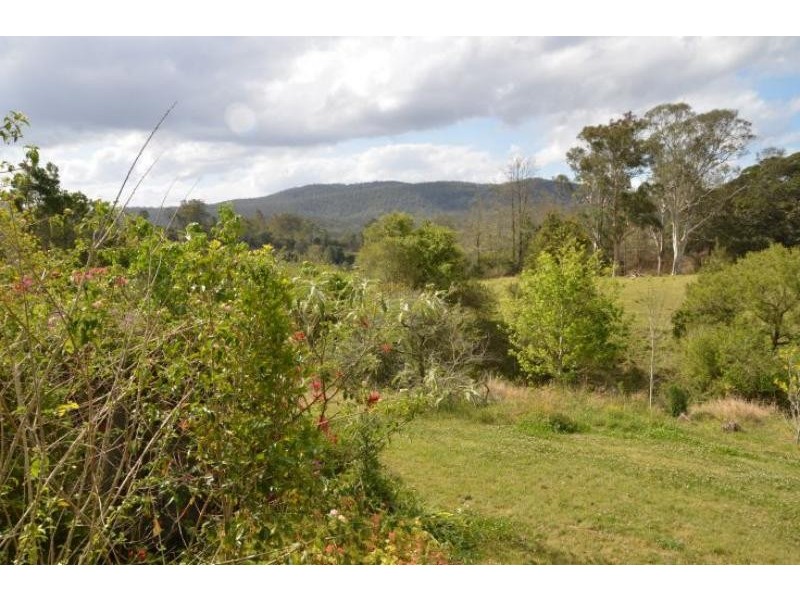 Kimbriki NSW 2429