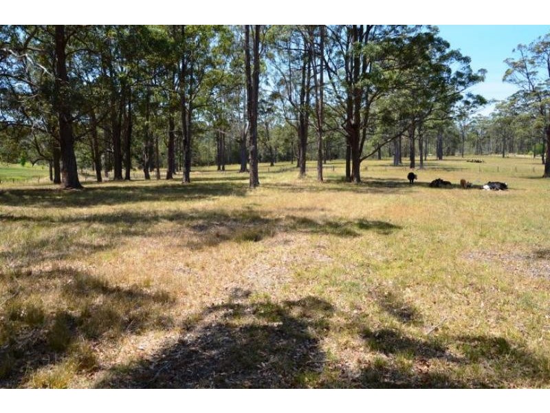 858 Cedar Party Rd, Cedar Party NSW 2429