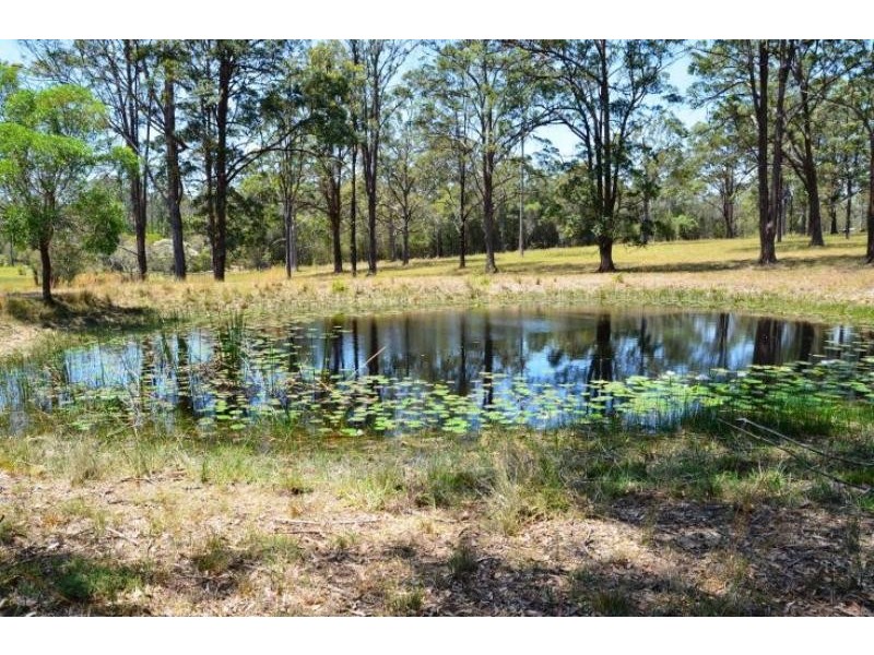 858 Cedar Party Rd, Cedar Party NSW 2429