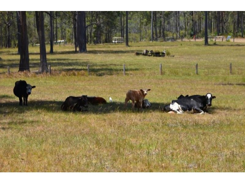 858 Cedar Party Rd, Cedar Party NSW 2429