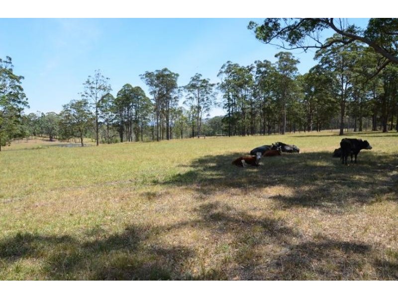 858 Cedar Party Rd, Cedar Party NSW 2429