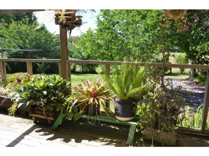 42 Appletree St, Wingham NSW 2429