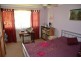 42 Appletree St, Wingham NSW 2429
