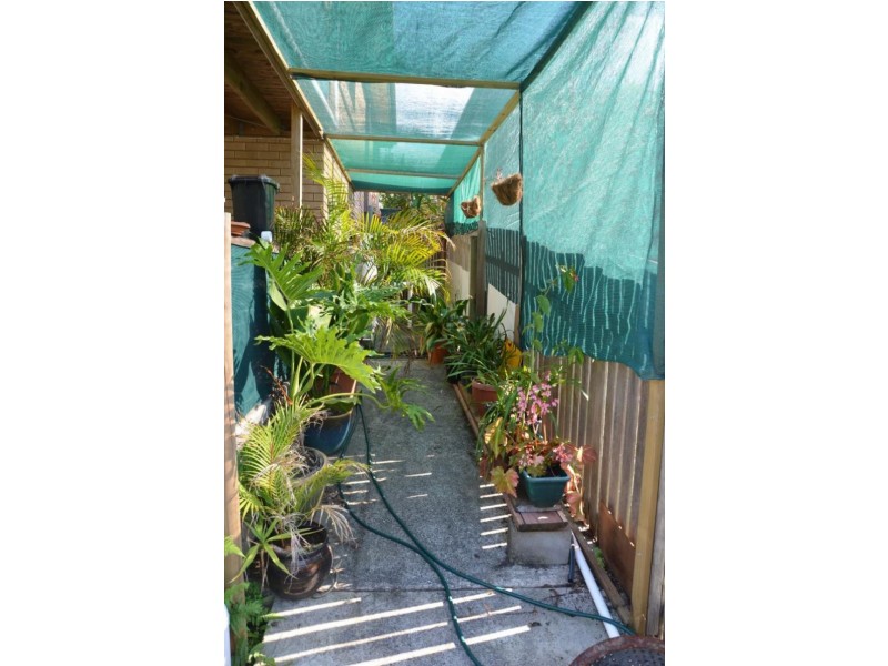 13 Gollan St, Wingham NSW 2429