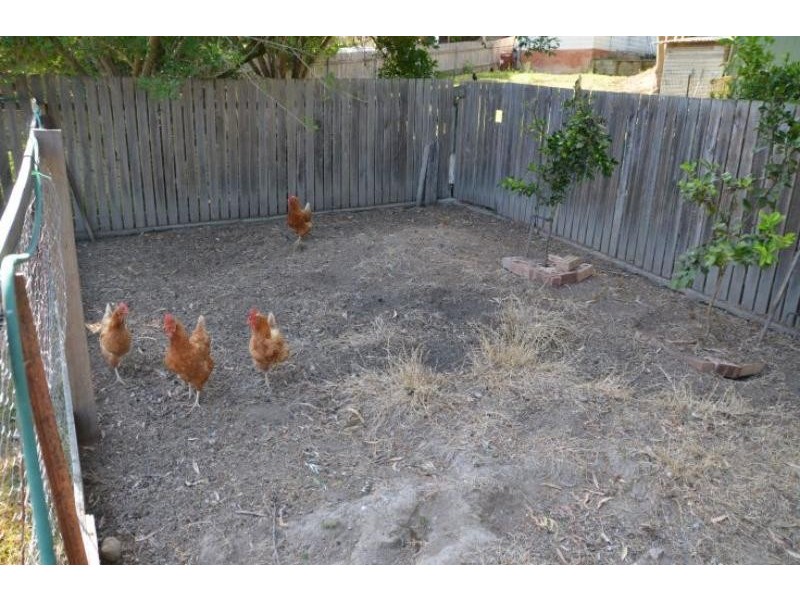 13 Gollan St, Wingham NSW 2429