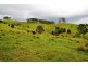Tipperary NSW 2429