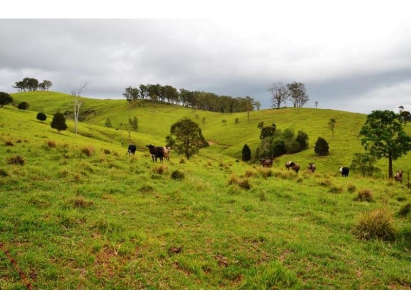 Tipperary NSW 2429