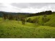 Tipperary NSW 2429