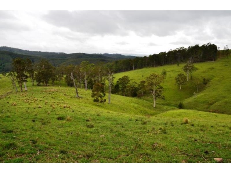 Tipperary NSW 2429