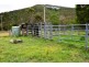 Tipperary NSW 2429