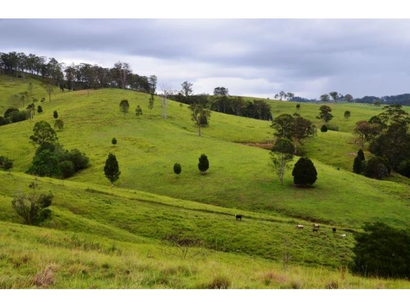 Tipperary NSW 2429