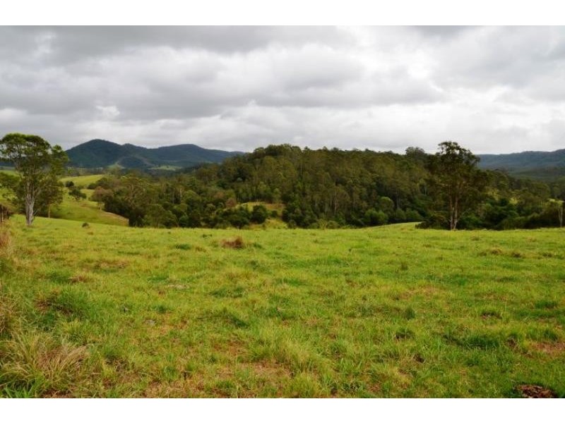 Tipperary NSW 2429