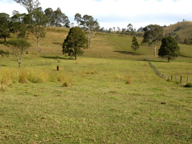 Burrell Creek NSW 2429