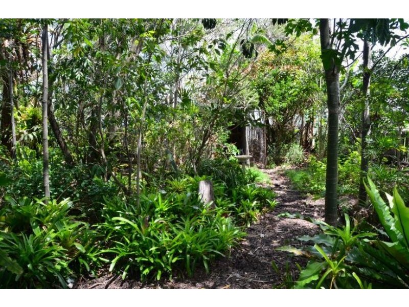 18 Mortimer St, Wingham NSW 2429