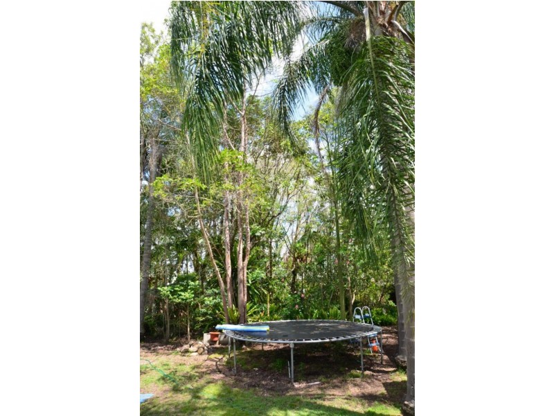 18 Mortimer St, Wingham NSW 2429