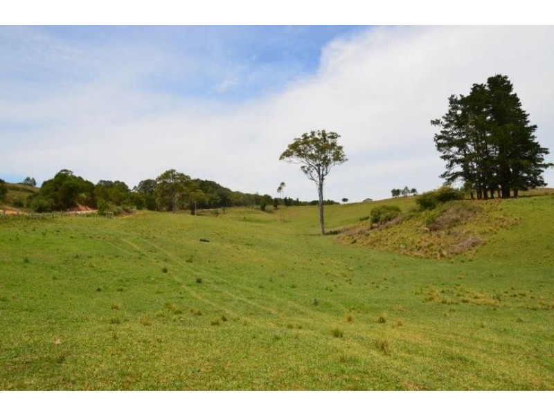 Elands NSW 2429