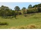 Elands NSW 2429