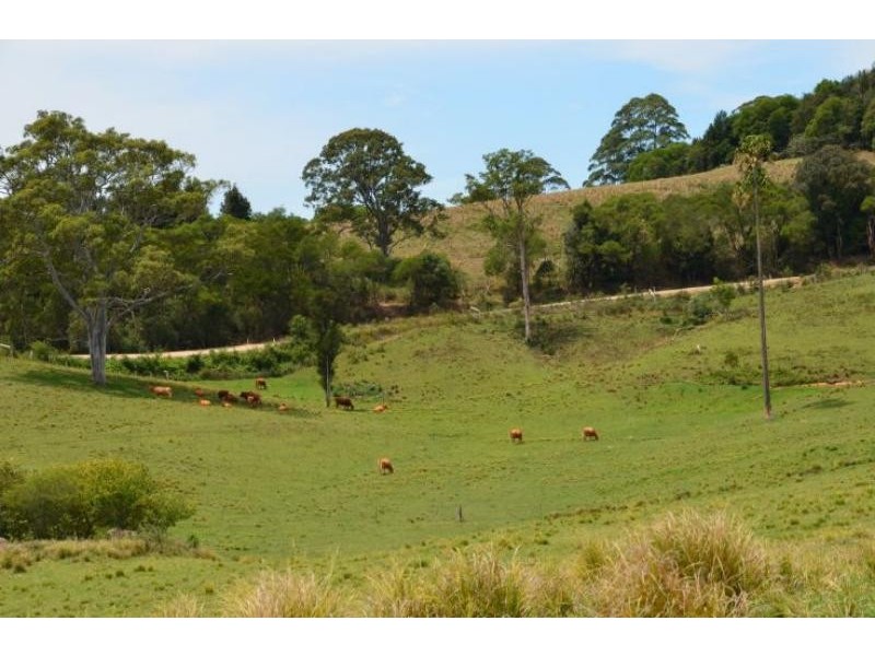 Elands NSW 2429
