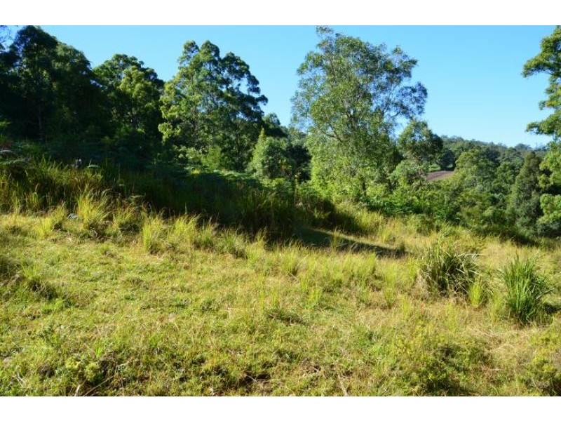 Knorrit Flat NSW 2424