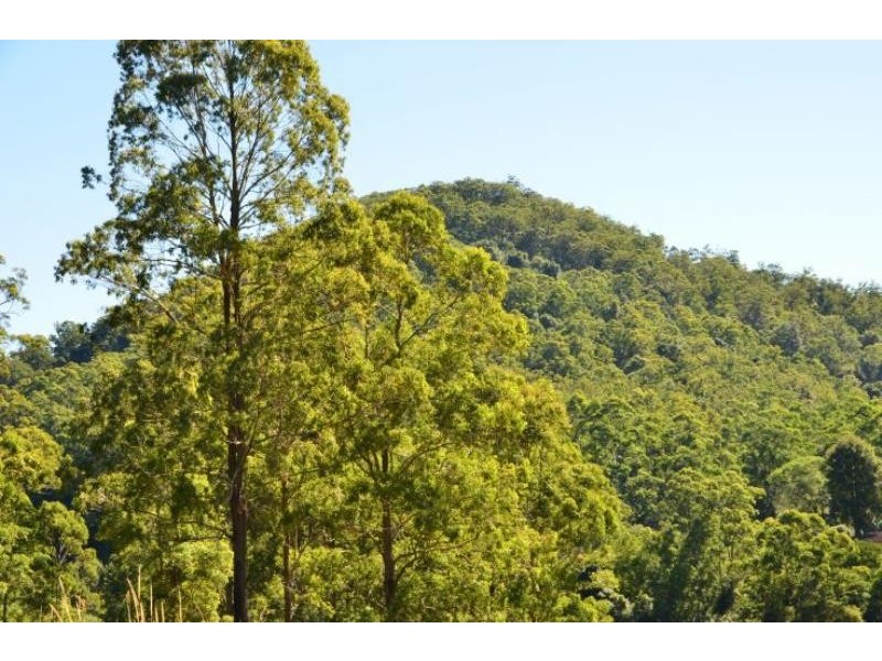 Knorrit Flat NSW 2424