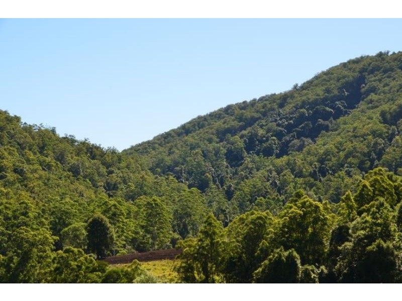 Knorrit Flat NSW 2424