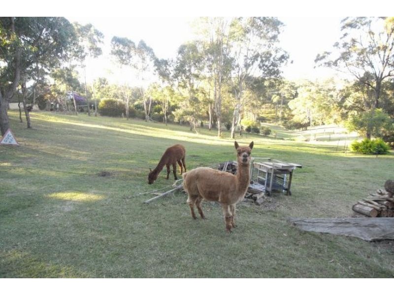 6 Kingfisher Dr, Wingham NSW 2429