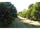 Caffreys Flat NSW 2424