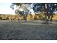 Bootawa NSW 2430