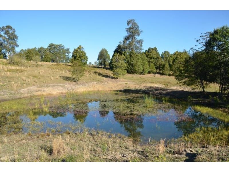 Killabakh NSW 2429