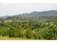 Killabakh NSW 2429