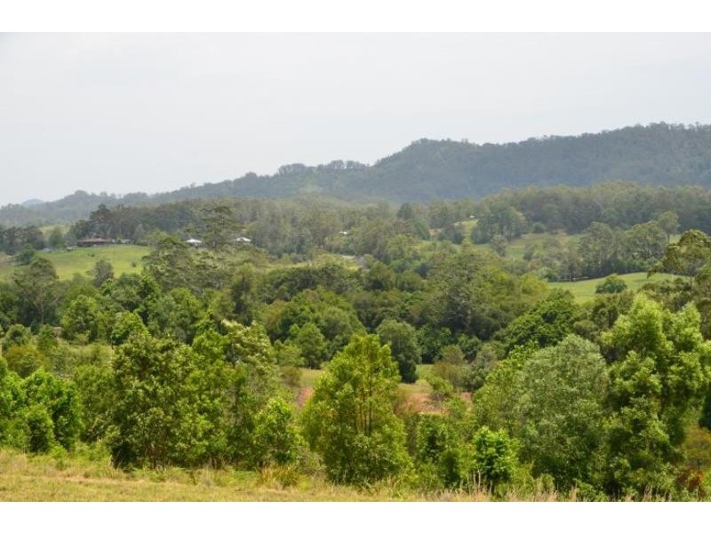 Killabakh NSW 2429
