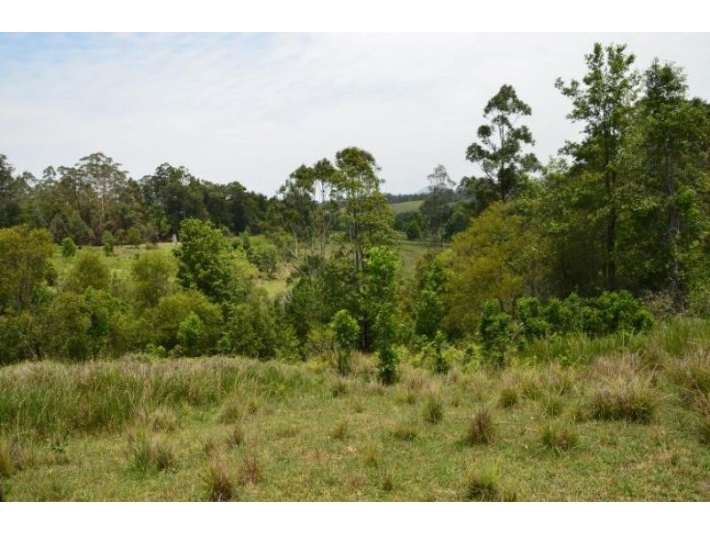 Killabakh NSW 2429