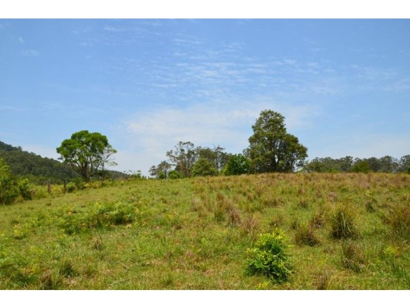 Killabakh NSW 2429