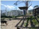 Caffreys Flat NSW 2424