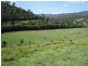 Caffreys Flat NSW 2424