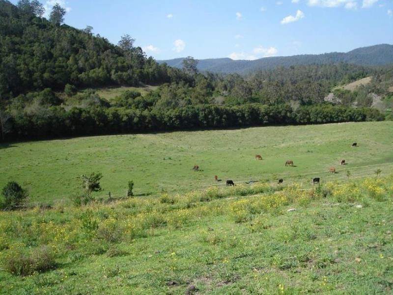 Caffreys Flat NSW 2424