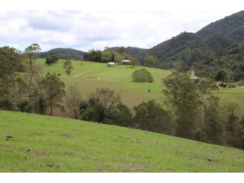 Caffreys Flat NSW 2424