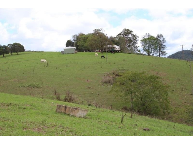 Caffreys Flat NSW 2424