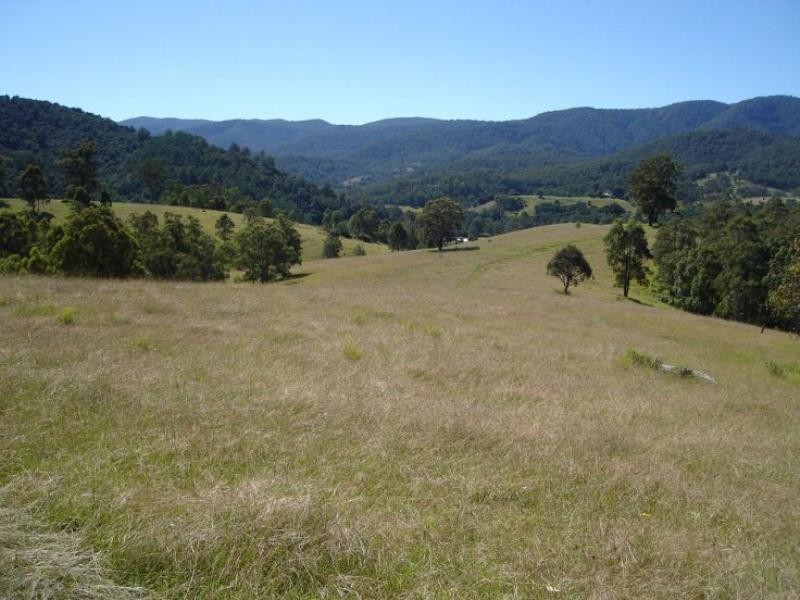 Caffreys Flat NSW 2424