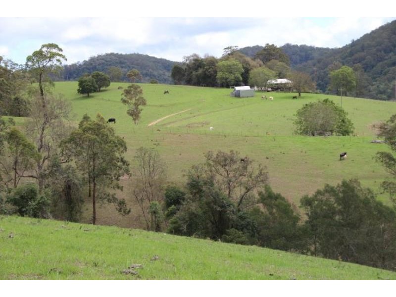 Caffreys Flat NSW 2424