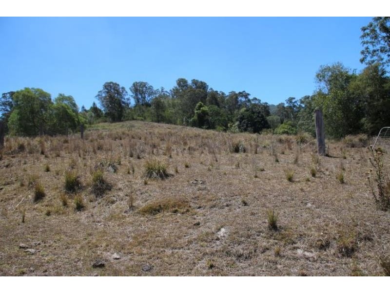 Caffreys Flat NSW 2424