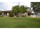 Wingham NSW 2429