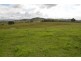Wingham NSW 2429