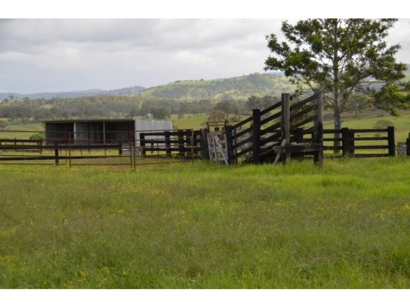 Wingham NSW 2429